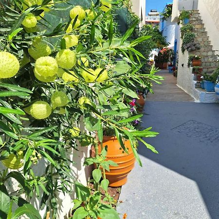 Βig Βlue Apartments Makrýgialos Extérieur photo