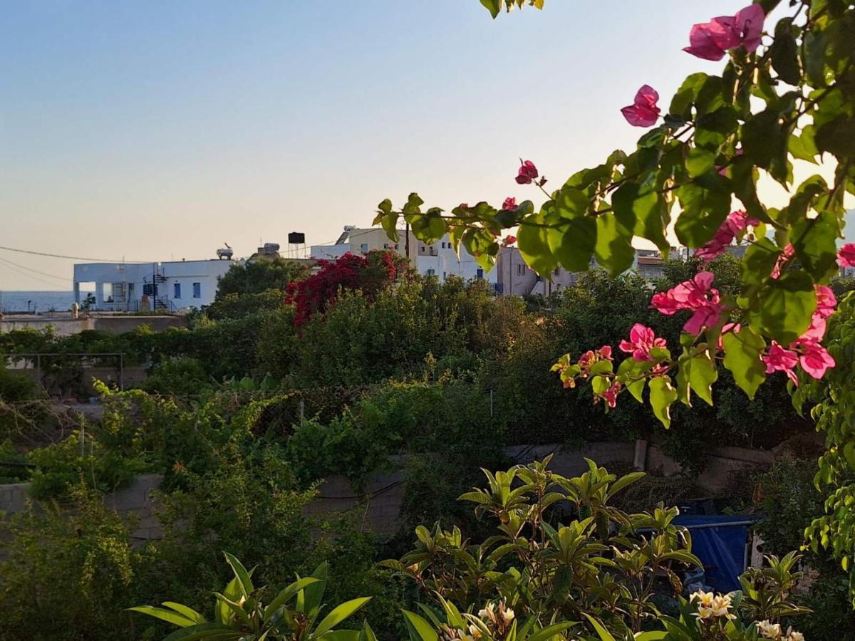 Βig Βlue Apartments Makrýgialos Extérieur photo