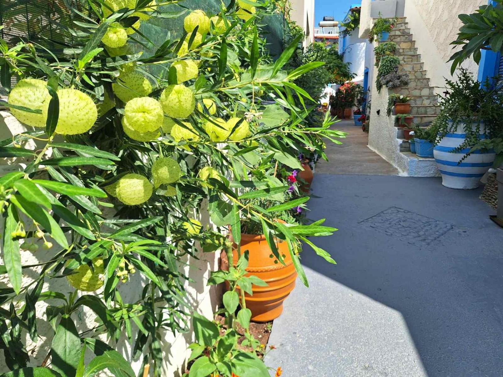 Βig Βlue Apartments Makrýgialos Extérieur photo