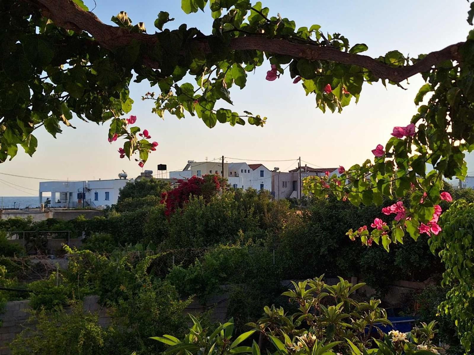 Βig Βlue Apartments Makrýgialos Extérieur photo
