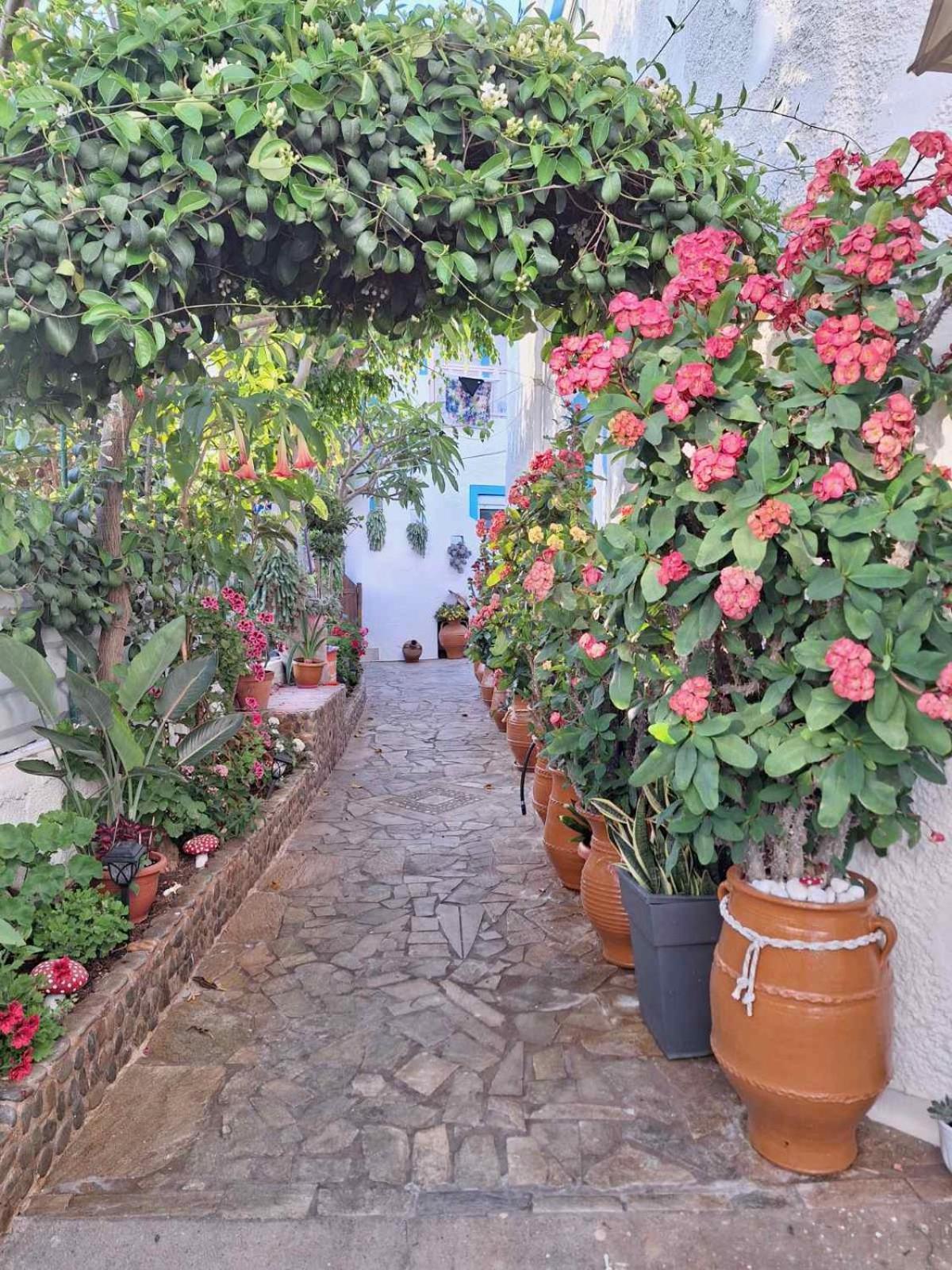 Βig Βlue Apartments Makrýgialos Extérieur photo