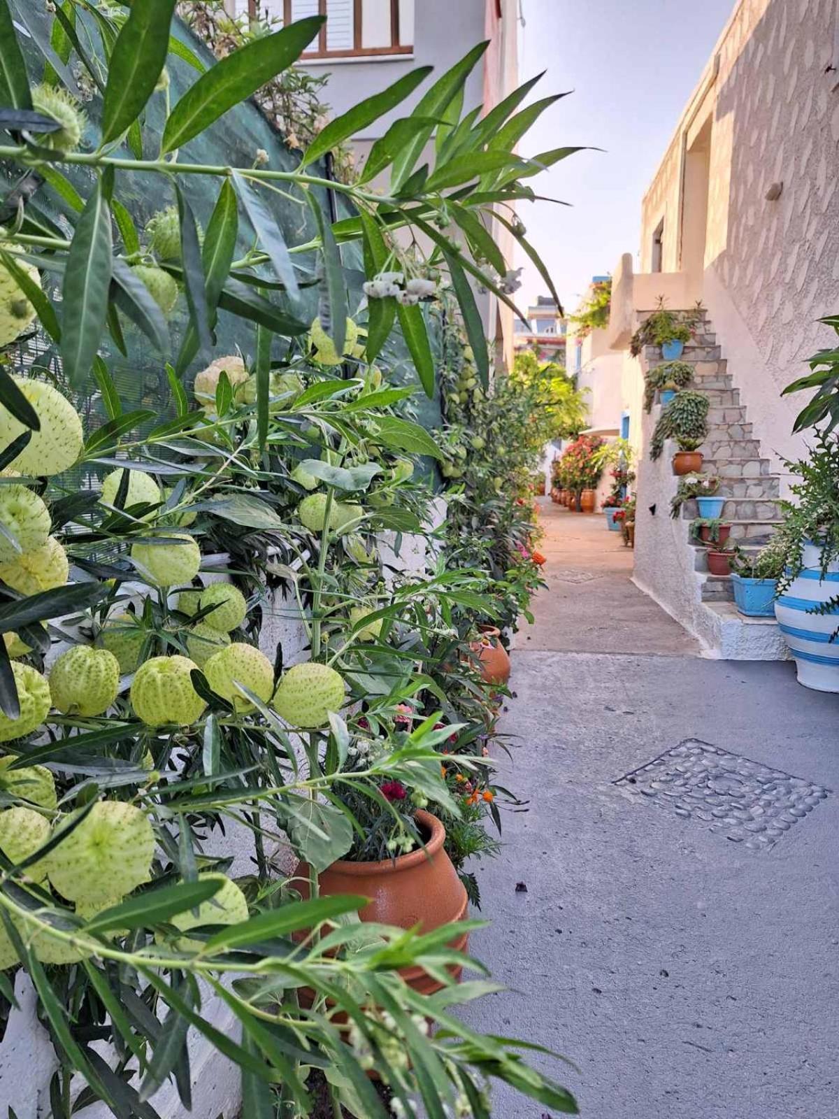 Βig Βlue Apartments Makrýgialos Extérieur photo