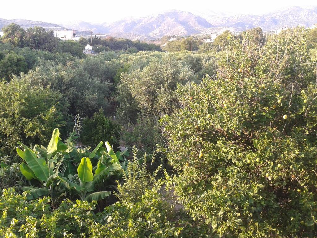 Βig Βlue Apartments Makrýgialos Chambre photo